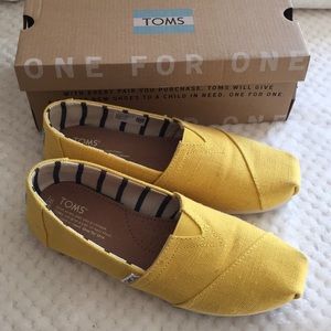 Classic Toms Dandelion Heritage Canvas